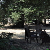 Driving California Wine 6: Matthiasson Wine
