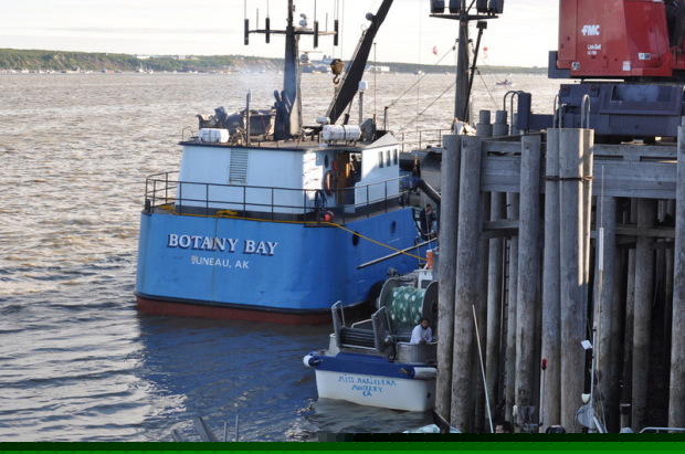 Naknek