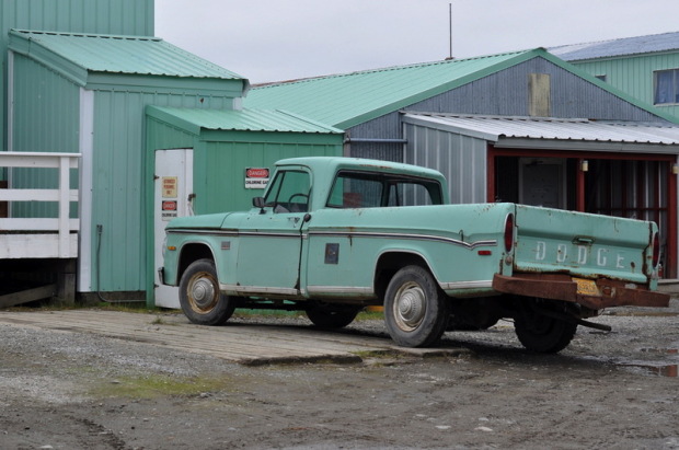Naknek