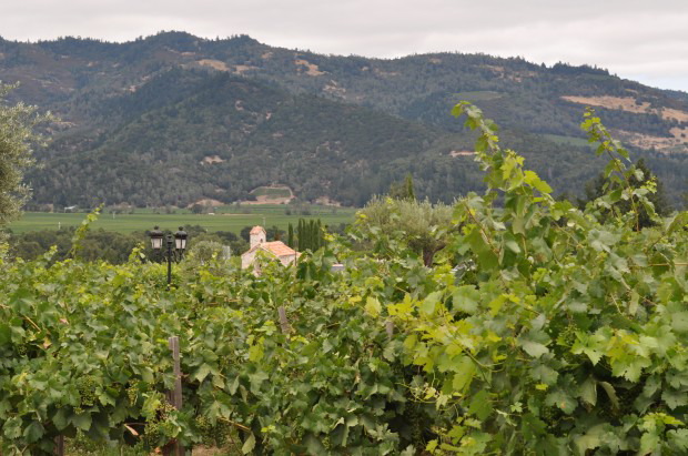 Calistoga