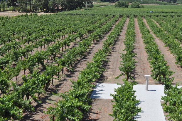 St. Helena