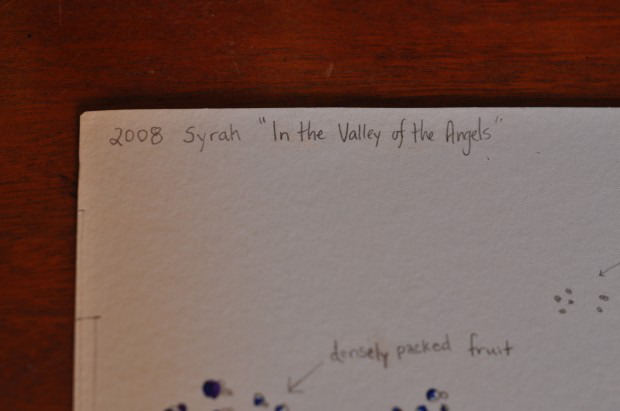 Dominio IV 2008 Syrah