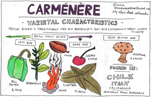 Carmenere Characteristics