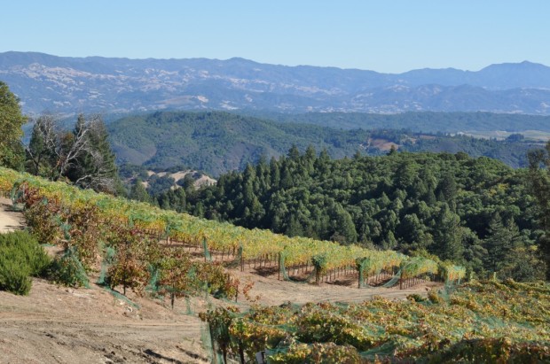 View of the Valley from 1800 feet