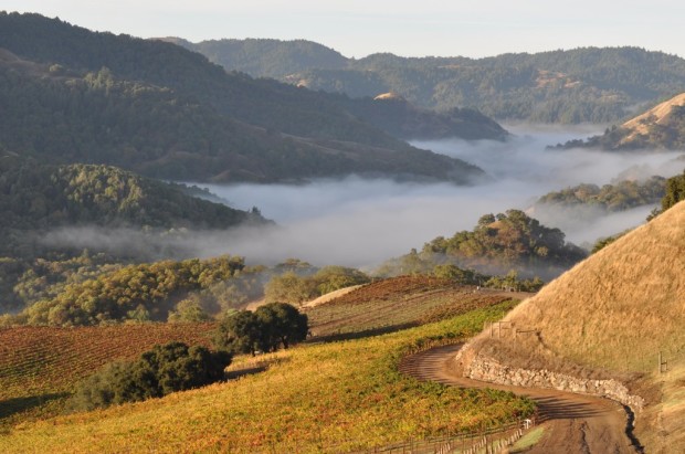 The Intersection of Dry Creek Valley and Rockpile AVAs