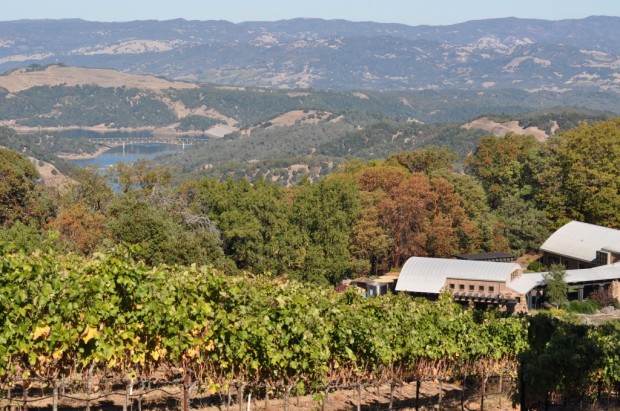 Gustafson Family Vineyard, Looking towards Lake Sonoma