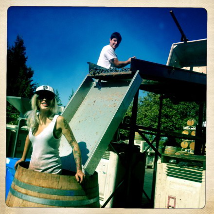Harvest in California