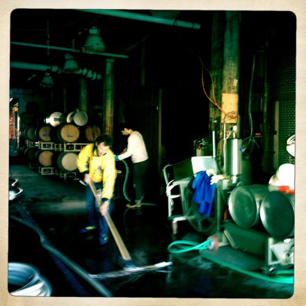Cleaning the winery