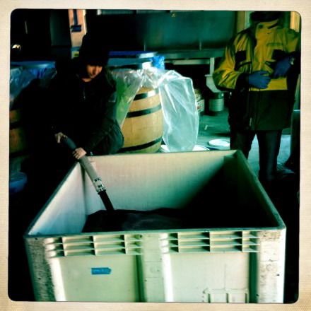 Talia cleaning fermenters