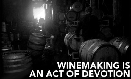 Looking into the Red Hook Winery Post Sandy