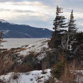 Danger Point