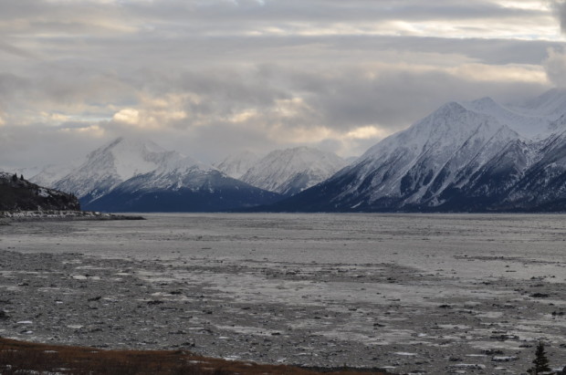 The frozen Turnagain Arm