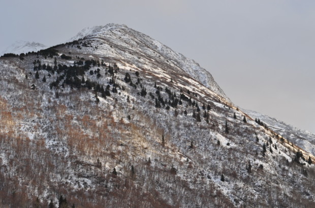 Looking up Bird Ridge