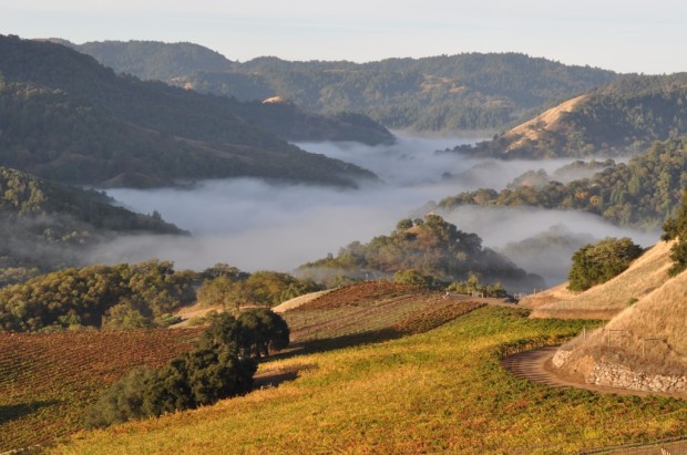 Looking North into one of the arms of Lake Sonoma