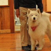 His dog is adorable