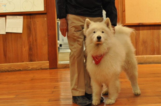 His dog is adorable