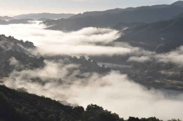 Looking out over Lake Sonoma
