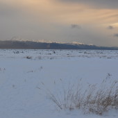 Alaska Holidays 1: Walking the Frozen Inlet