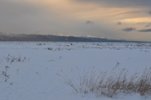 Looking up Turnagain Arm