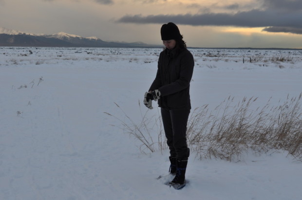 Standing on the Frozen Wetlands