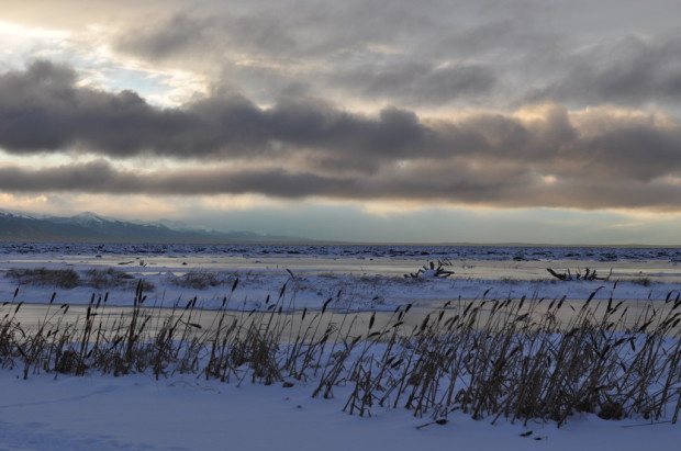 The sun coming up over the grasslands