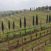 We spent the first week of April in Friuli