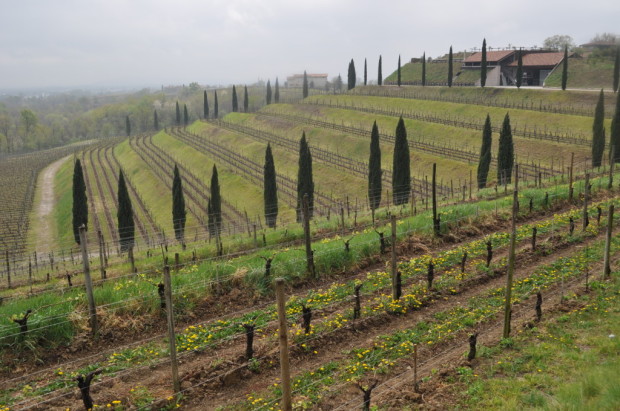 We spent the first week of April in Friuli