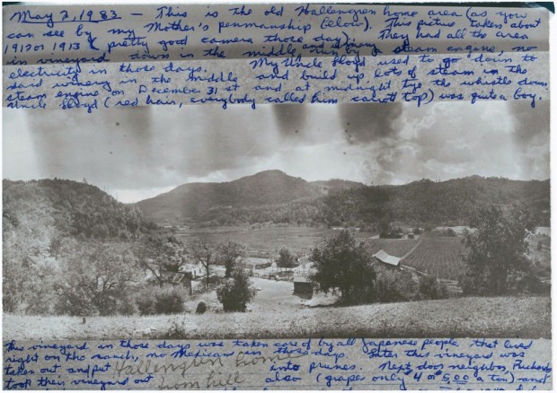 Hallengren house