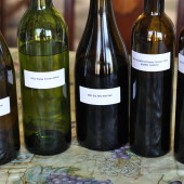 Santa Barbara Wine Country 5: Photos from Day 4