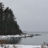 Auke Bay