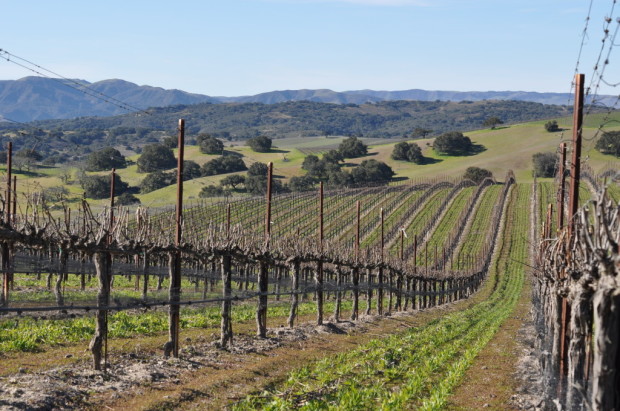 Ballard Canyon