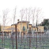 The Wind Effect in Front of Melville Winery