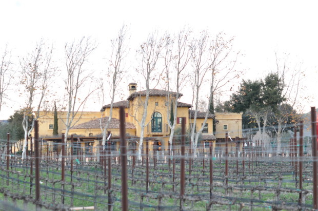 The Wind Effect in Front of Melville Winery
