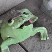 Stephen had a ceramic frog art phase