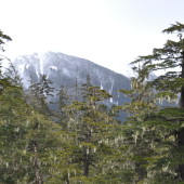 The backside of Eagle Crest