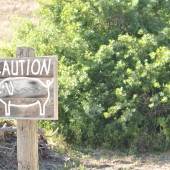 Venturing into the hills of Los Alamos