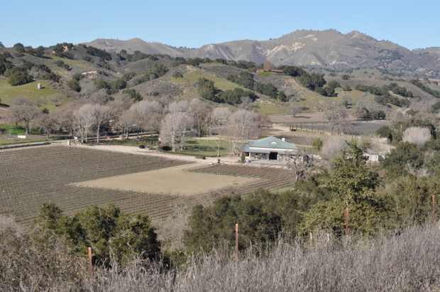 Fess Parker Ranch