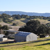 Rusack Winery