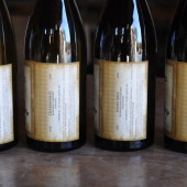 Chardonnays, including an old vine bottling, Pinot Gris, and Pinot Noir