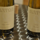 Diatom 2006 Clos Pepe and Huber