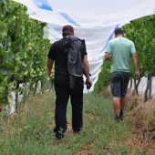 Mike Bennie, Mac Forbes, Mac Forbes Wines