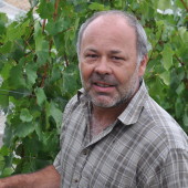 Timo Mayer, Mayer Wines