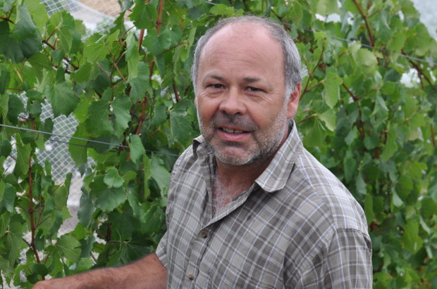 Timo Mayer, Mayer Wines