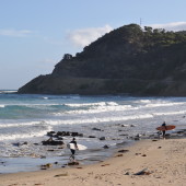 Geelong and the Great Ocean Road