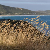 View from Devil's Elbow, Great Ocean Road