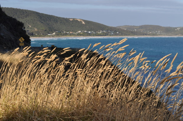 View from Devil's Elbow, Great Ocean Road