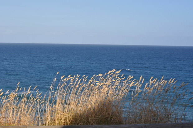 The Southern Ocean, looking South
