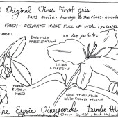 Tasting Origins: Original Vine Pinot Gris, Eyrie Vineyards, Willamette Valley, Oregon