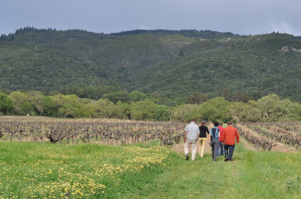 Walking into Bucklin Vineyards
