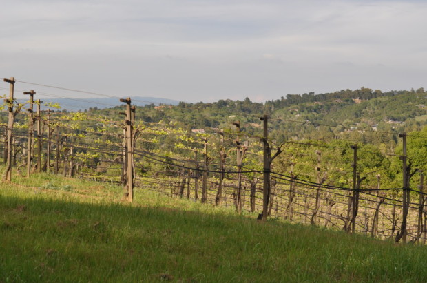 Looking over the Bee Block